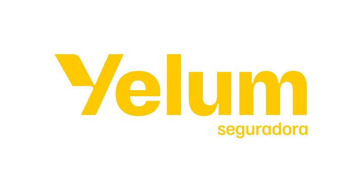 Seguradora